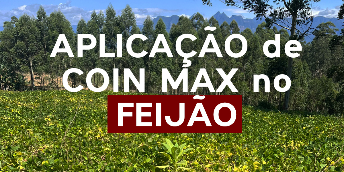 Coin Max no Feijão