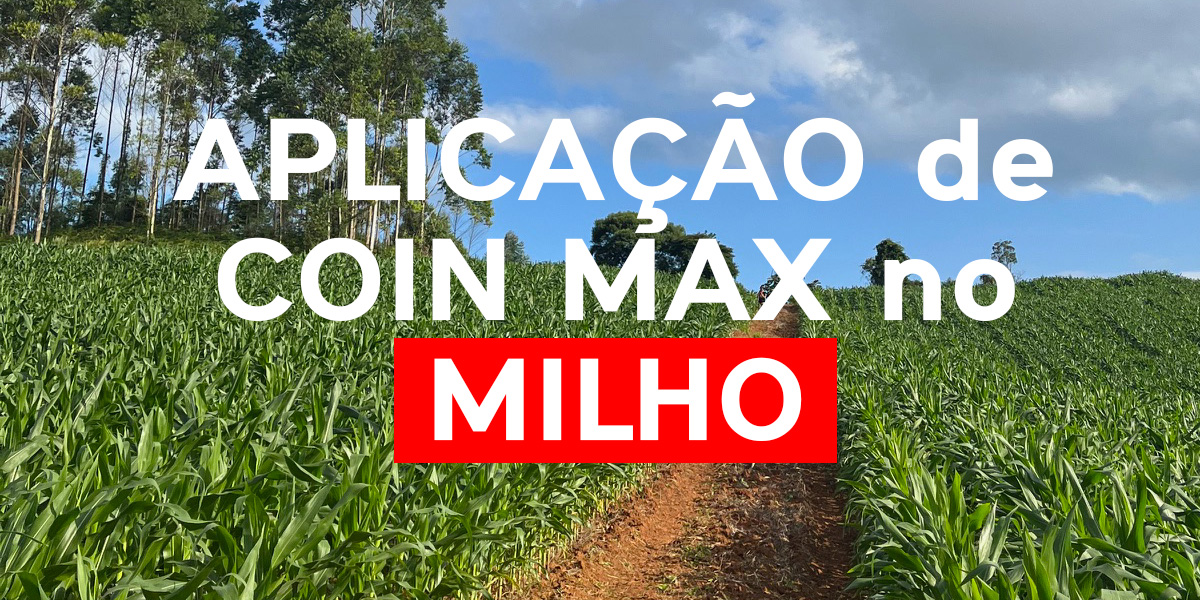 Coin Max no Milho