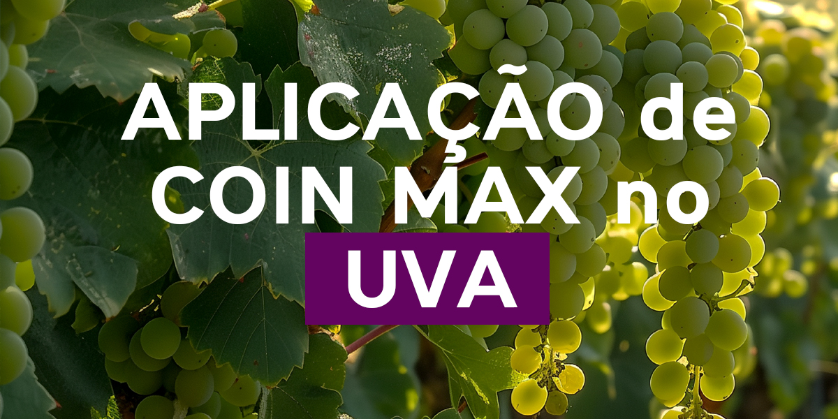 Coin Max na Uva