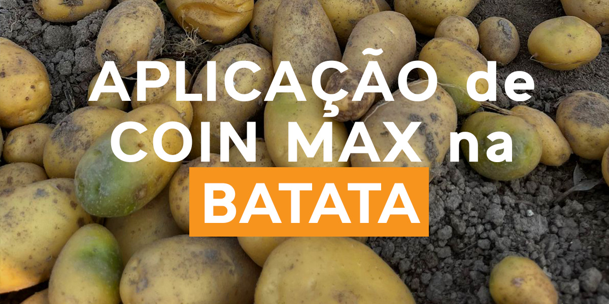 Coin Max na Batata